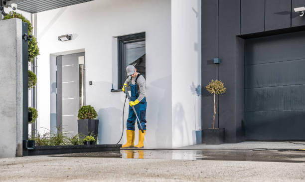 Best Pool Deck Cleaning  in Homer Glen, IL